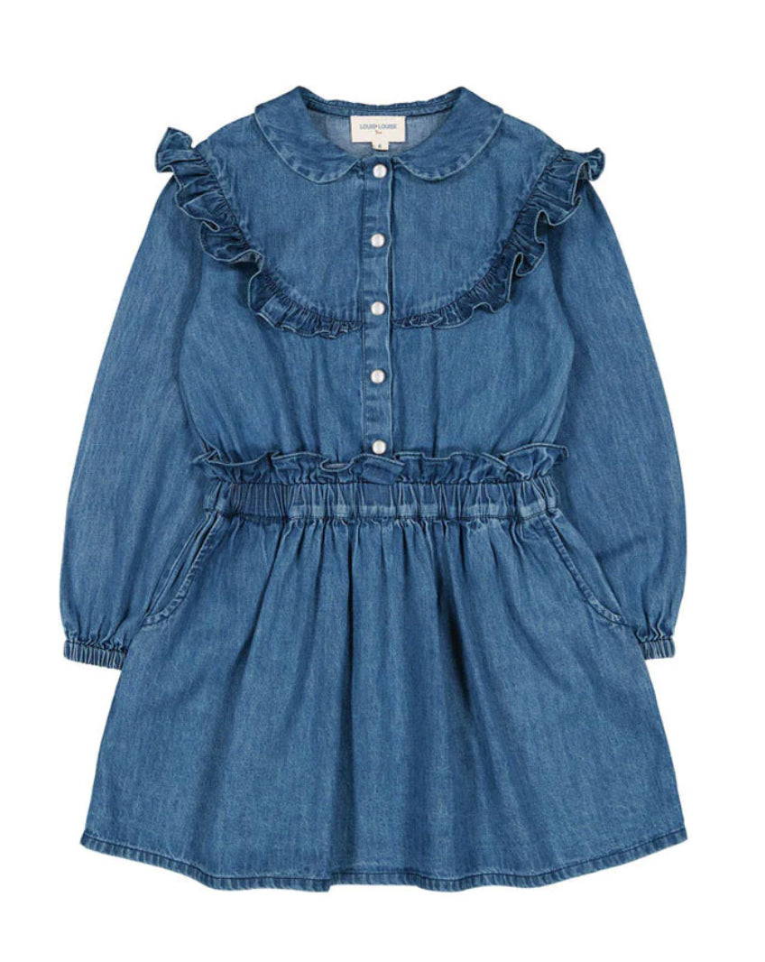 Courtnette Chambray Dress