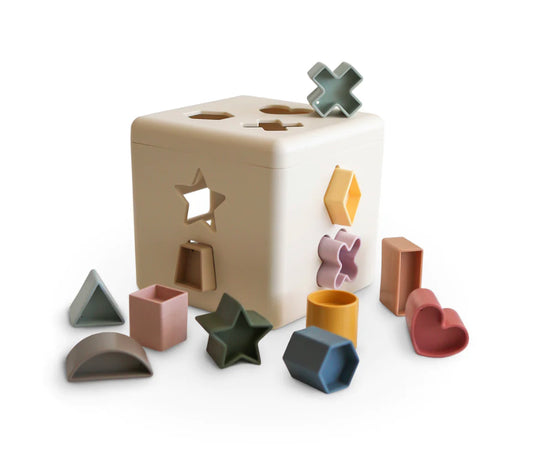 Shape Sorting Box